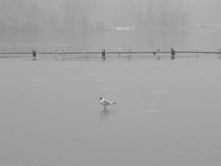 Lonely in winter - Free Stock Photo