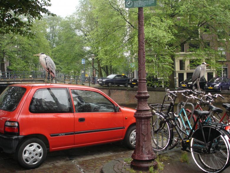 Free stock image of Heron: car or a bike? created by Katarzyna Kozłowska