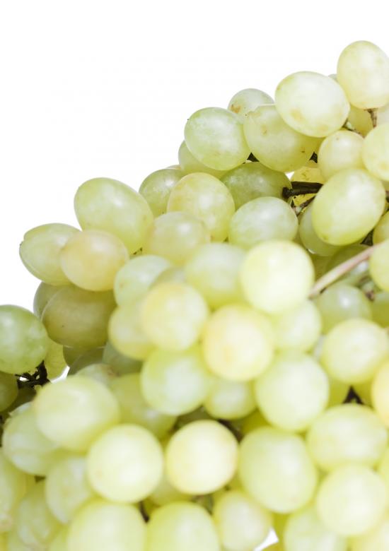 Free stock image of grape created by 2happy