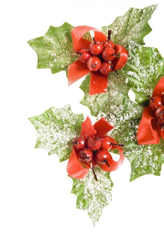 Free stock image of european holly created by 2happy