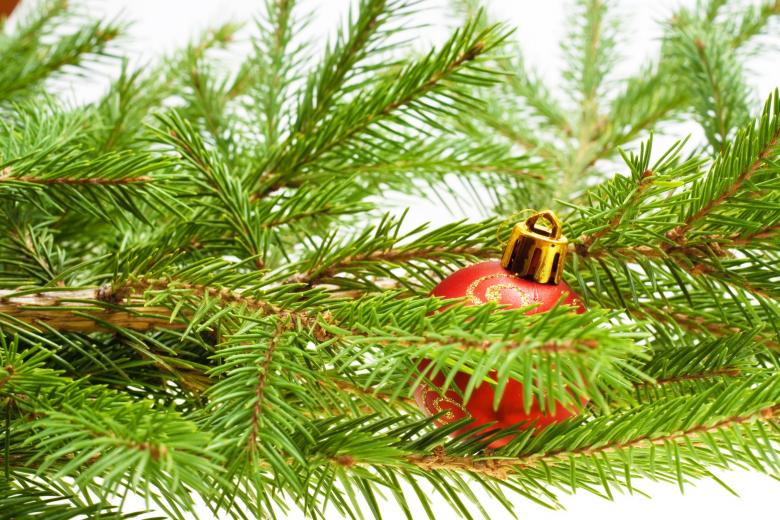 Free stock image of Christmas decoration created by 2happy