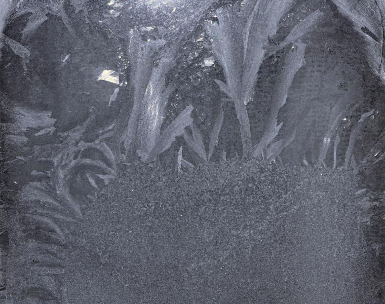 Free stock image of hoarfrost created by 2happy