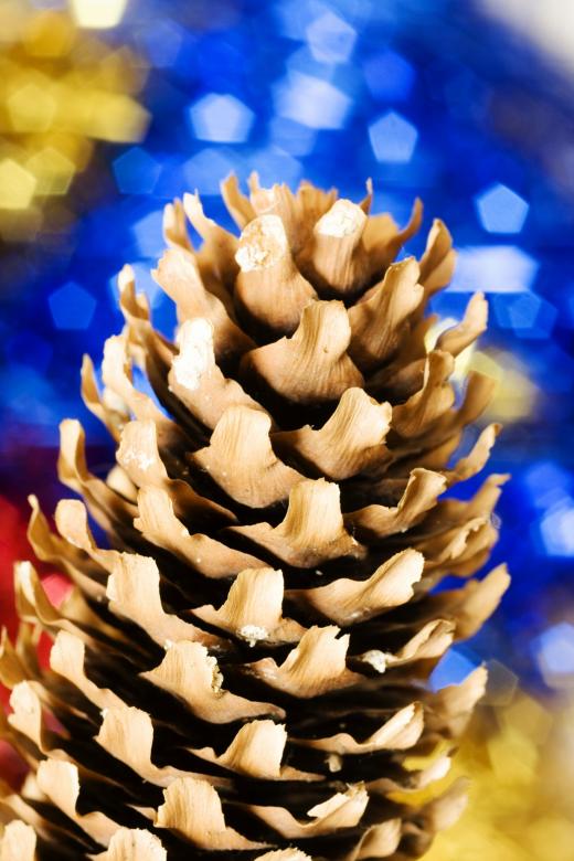 Free stock image of christmas pine cone created by 2happy