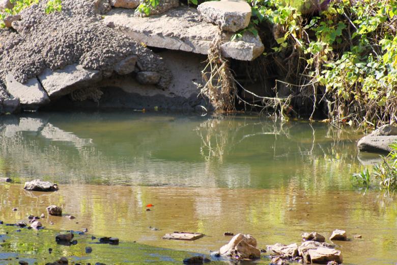 Free stock image of Pond created by Val Lawless
