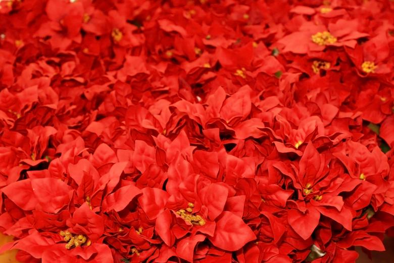 Free stock image of Red Christmas Background created by Val Lawless