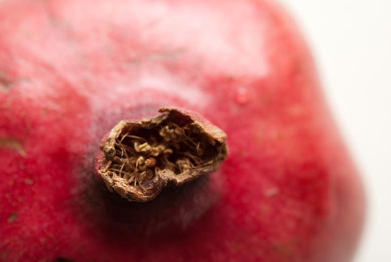 Free stock image of Pomegranate created by Elizabeth Lehrke