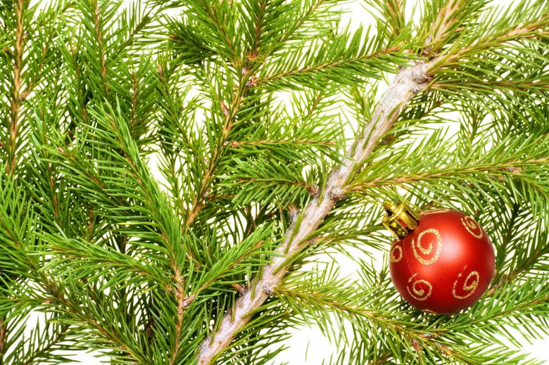 Free stock image of christmas decoration created by 2happy