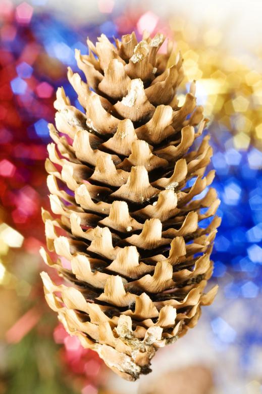 Free stock image of christmas decoration created by 2happy