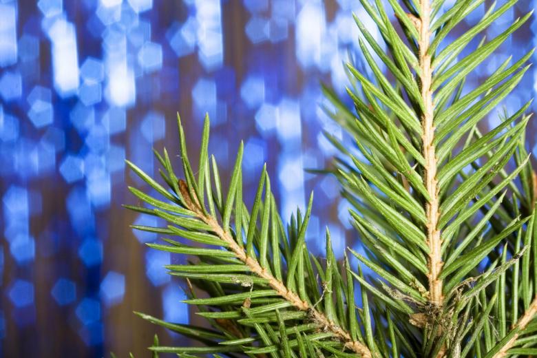 Free stock image of christmas decoration created by 2happy