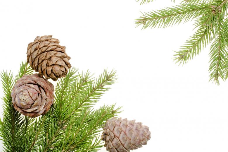 Free stock image of christmas decoration created by 2happy