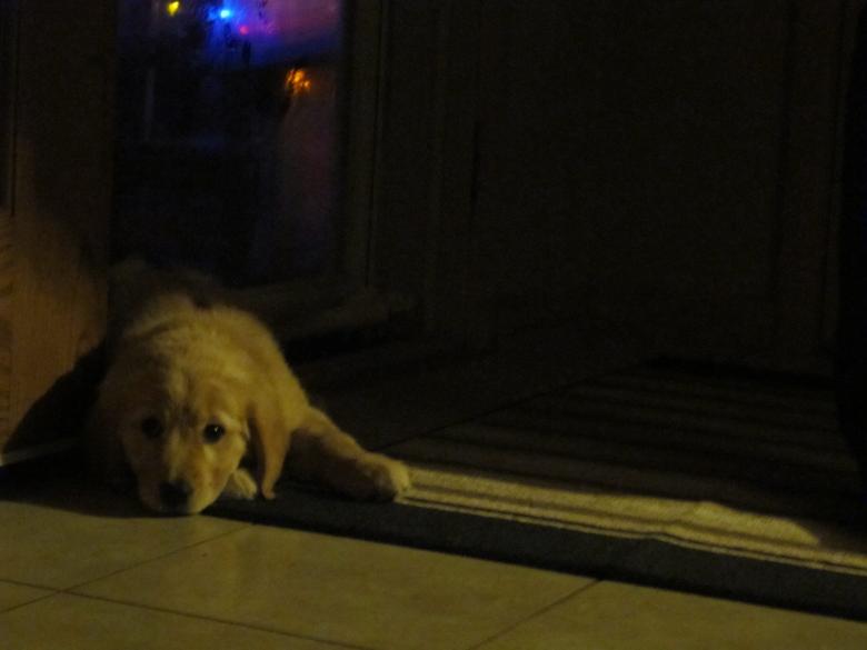 Free stock image of sleepy created by Brian