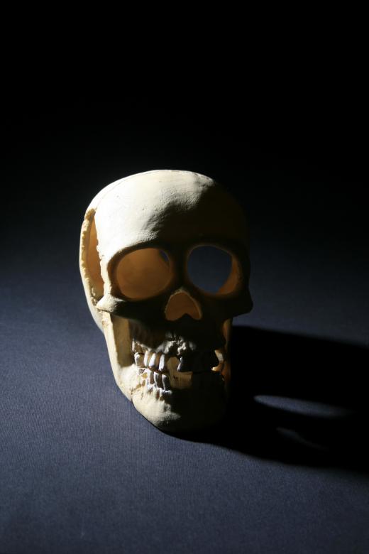 Free stock image of skull created by 2happy