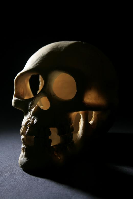 Free stock image of skull created by 2happy