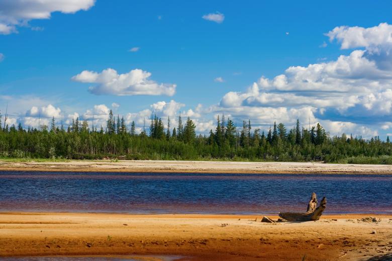 Free stock image of Northern Summer Landscape created by 2happy