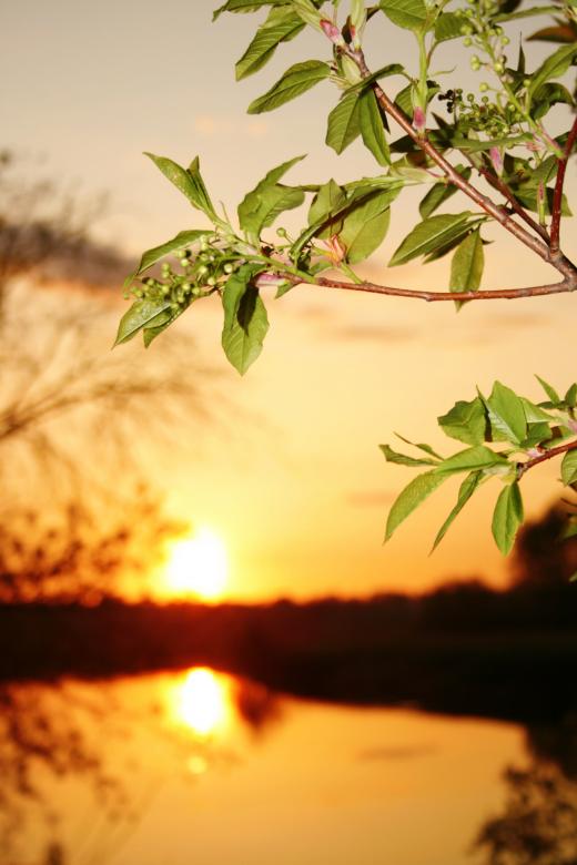 Free stock image of summer landscape created by 2happy