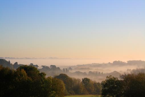 Morning mist - Free Stock Photo