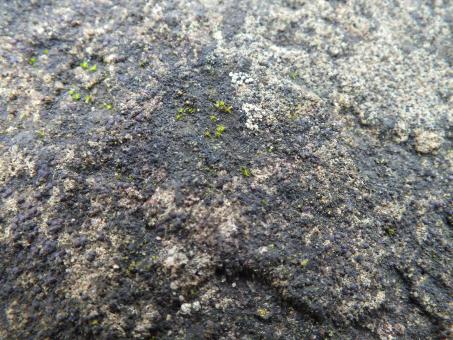 Free Stock Photo of Rock Texture