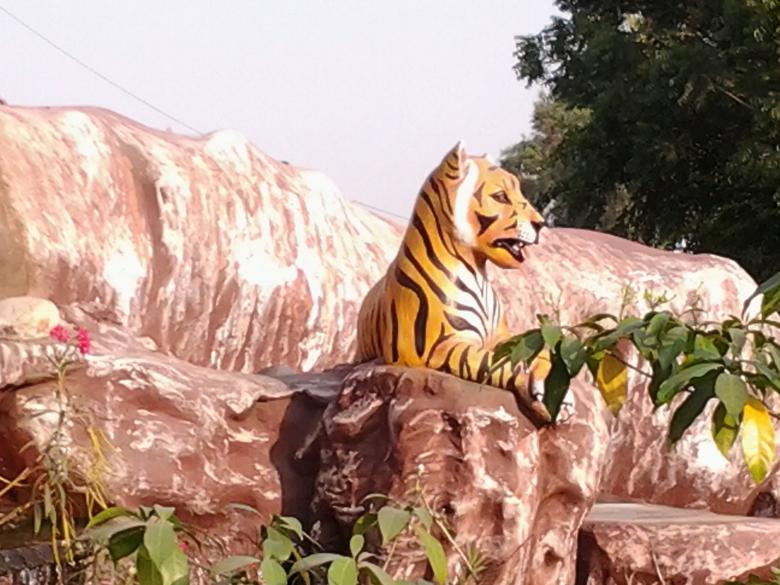 Free stock image of Tiger on hill created by v vineet kumar