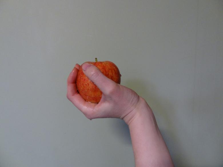 Free stock image of Apple in hand created by Ann Van den Broeck
