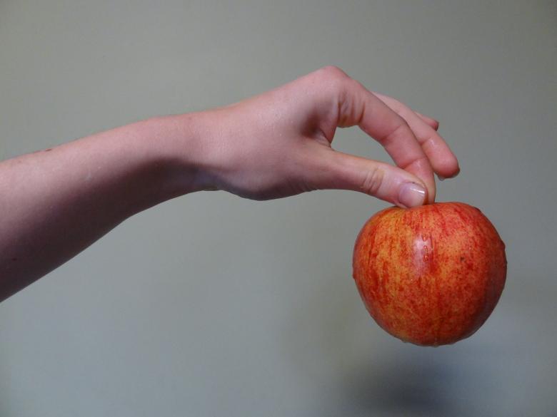 Free stock image of Holding an apple created by Ann Van den Broeck