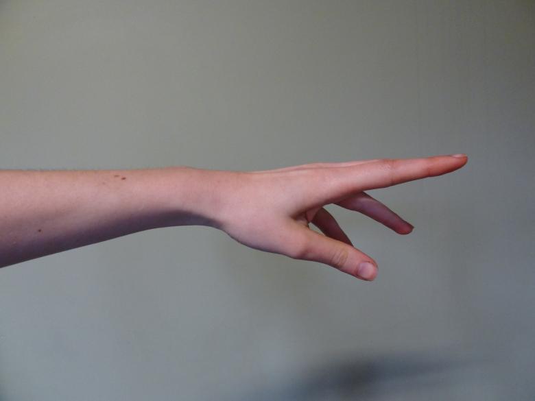 Free stock image of Pointing created by Ann Van den Broeck