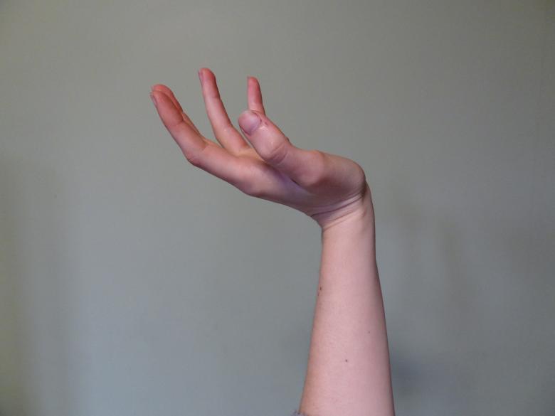 Free stock image of Hand created by Ann Van den Broeck