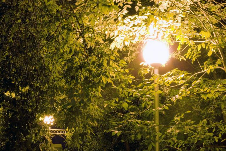 Free stock image of lamps created by 2happy