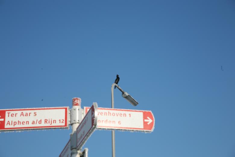 Free stock image of Where to go? created by Ed Sanders