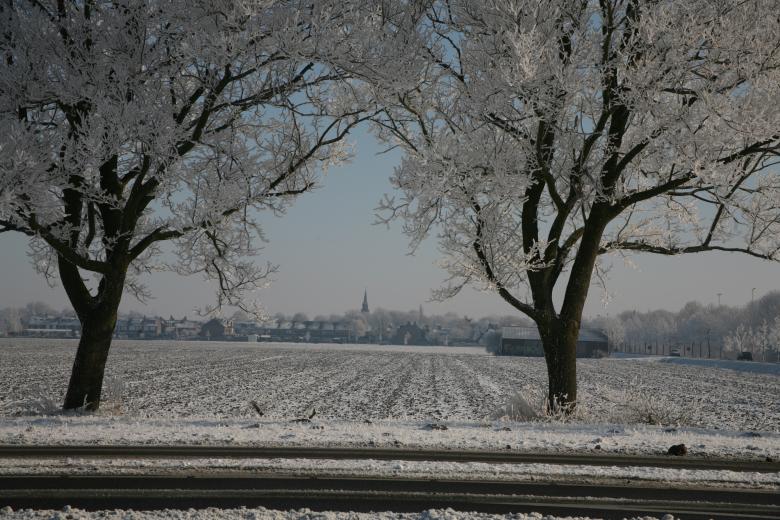 Free stock image of Treeview Zevenhoven created by Ed Sanders