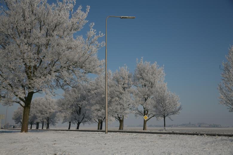 Free stock image of Snow trees created by Ed Sanders