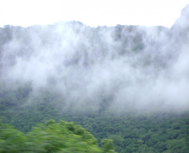 Free stock image of Fog created by Tona sam
