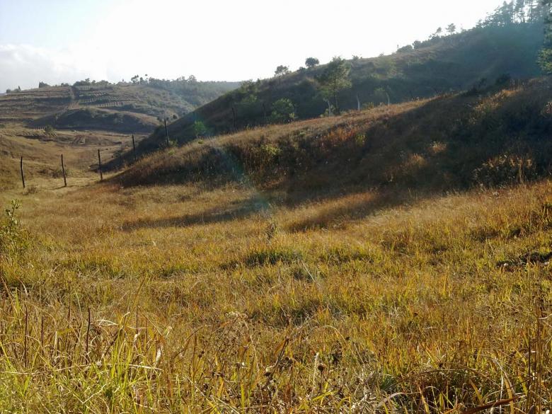 Free stock image of Landscape created by Bijit sharma