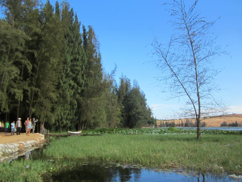 Free stock image of Tourist Point created by nguyen huy