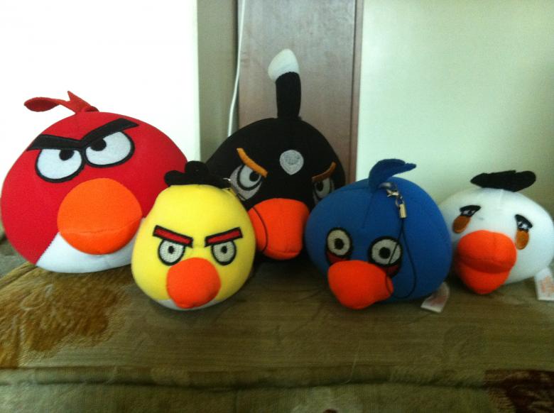 Free stock image of Angry bird group created by basem