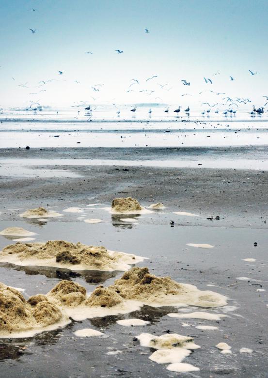 Free stock image of Dirty beach created by Luka
