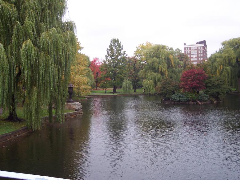Free stock image of Boston Public Gardens created by Katharine Sparrow