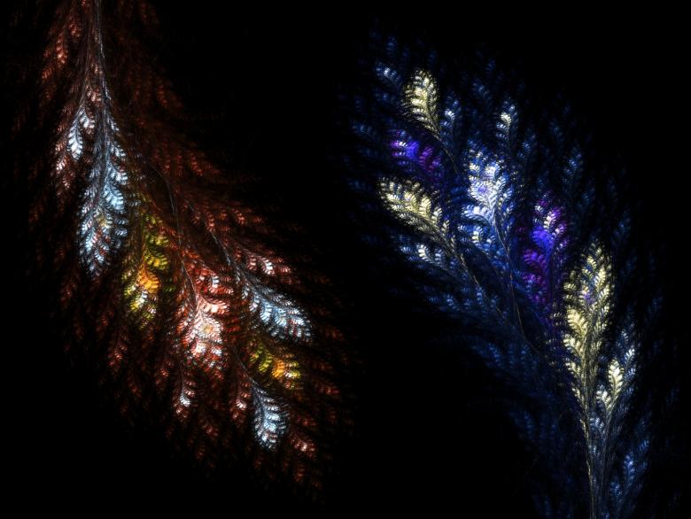 Free stock image of Fractal garden created by F. Nisa
