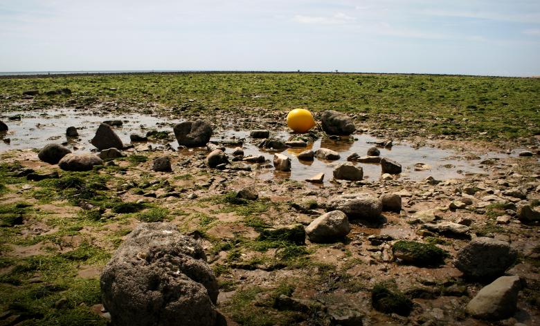 Free stock image of Rocky beach created by Luka
