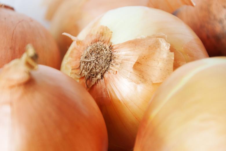 Free stock image of Onions created by Luka
