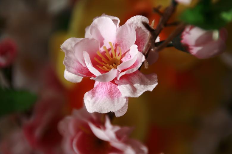 Free stock image of Artificial Flower created by 2happy