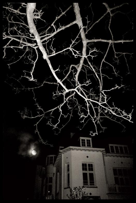 Free stock image of Haunted house at night created by Luka