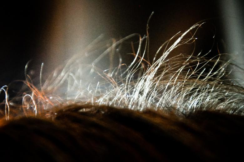 Free stock image of Hair macro close up created by Luka