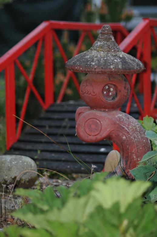 Free stock image of Japanese garden created by mlle