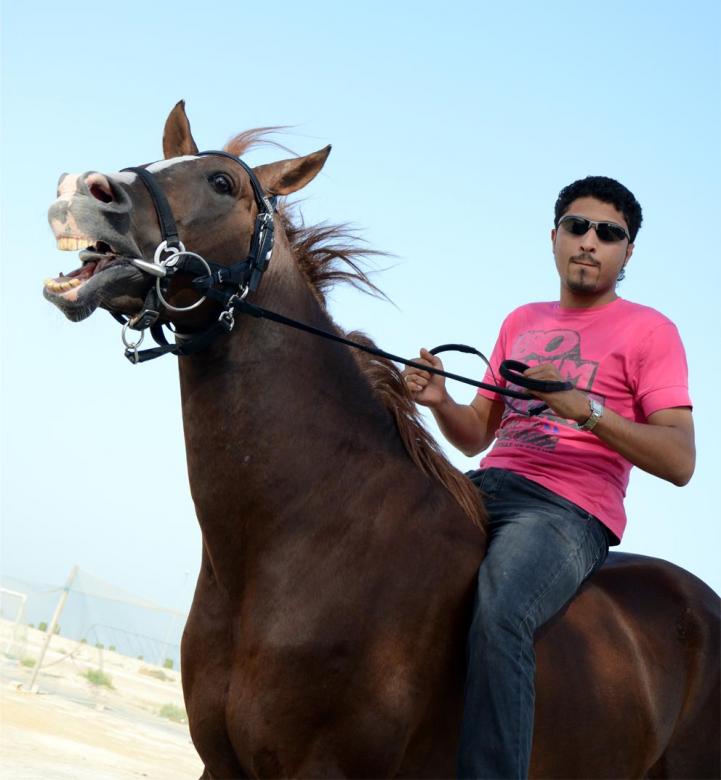 Free stock image of Horsemanship created by basem