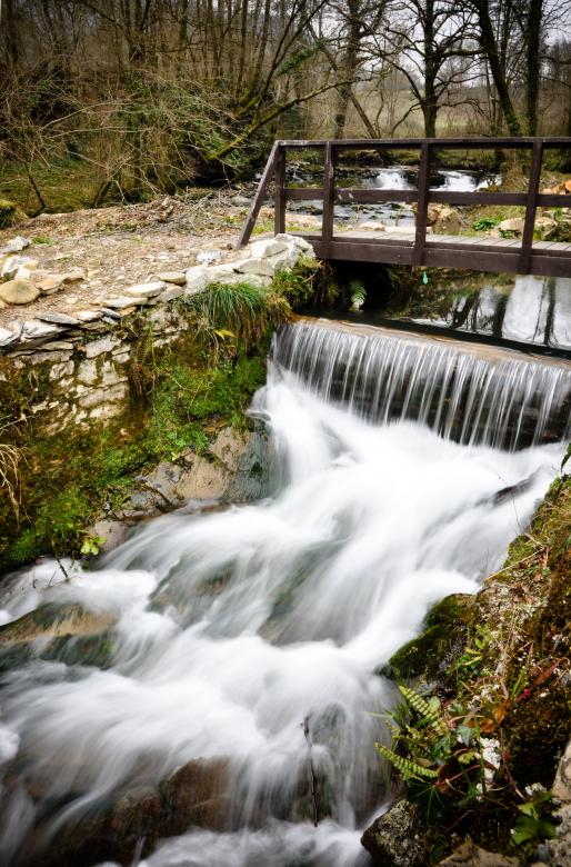 Free stock image of Tropical waterfall and bridge created by Luka