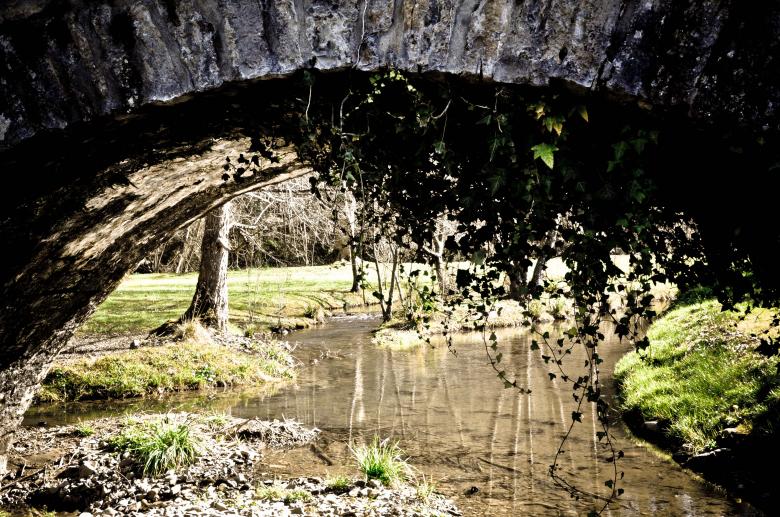 Free stock image of Arch bridge in nature created by Luka