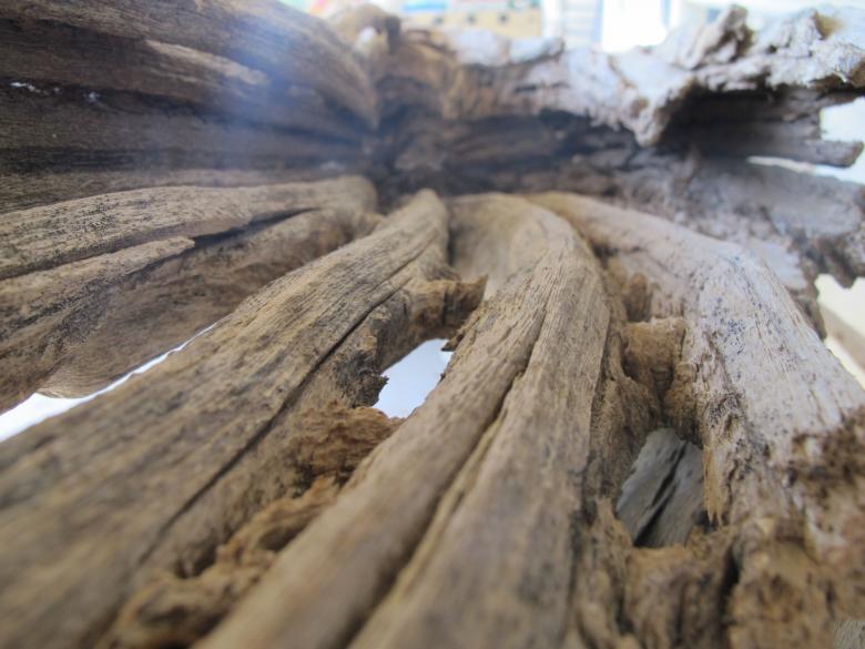 Free stock image of Mangled Wood Texture created by Sierra Brown