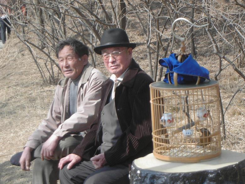Free stock image of China Bird Walking created by Steve Linster
