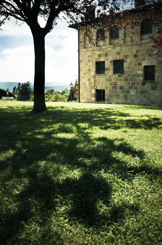 Free stock image of Tree shadow created by Luka