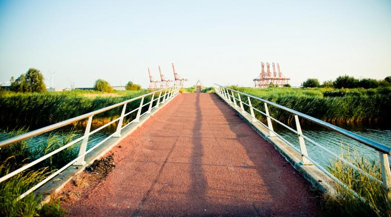 Free stock image of Red road created by Luka